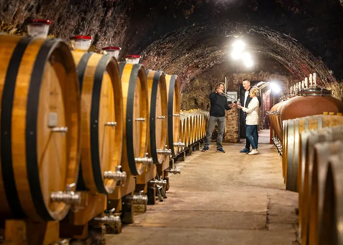 Logis De France Hotel