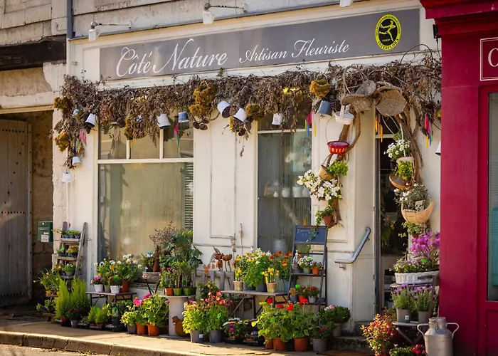 Hotel Logis De France